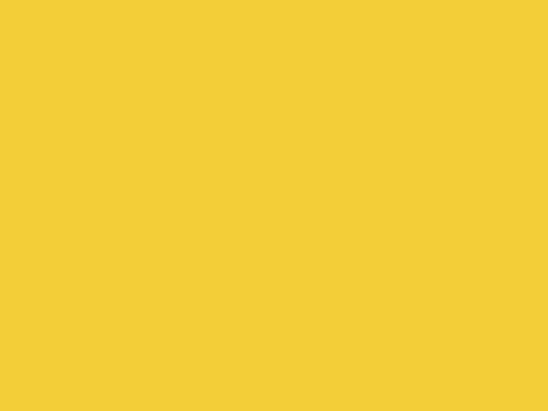#F4CE39 color image