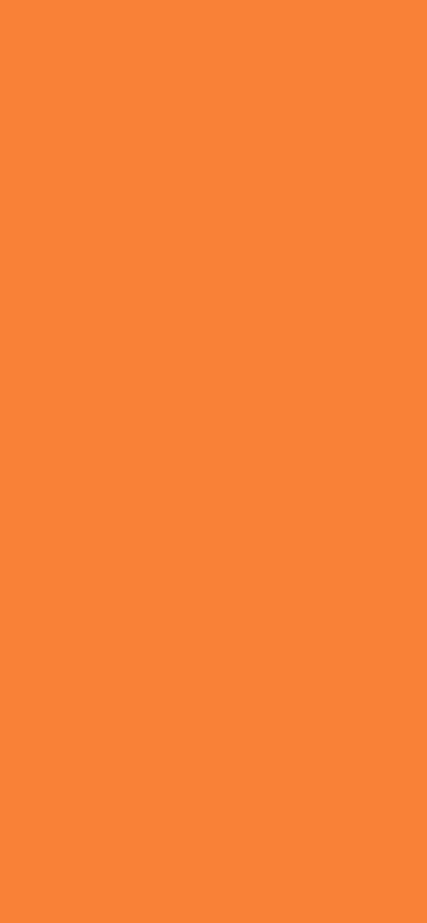 #F98137 color image