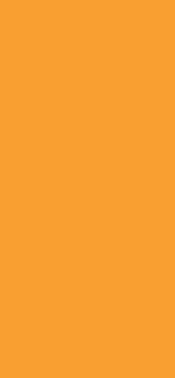 #F99E30 color image