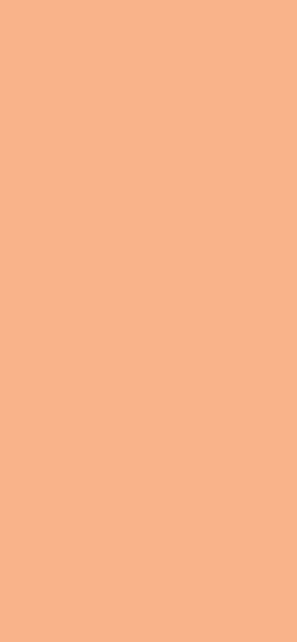 #F9B38A color image