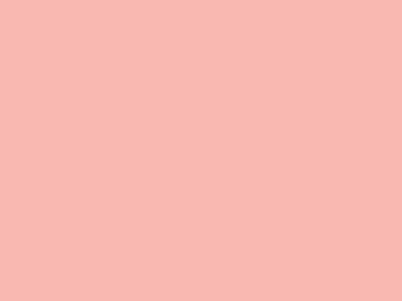 #F9B8B1 color image