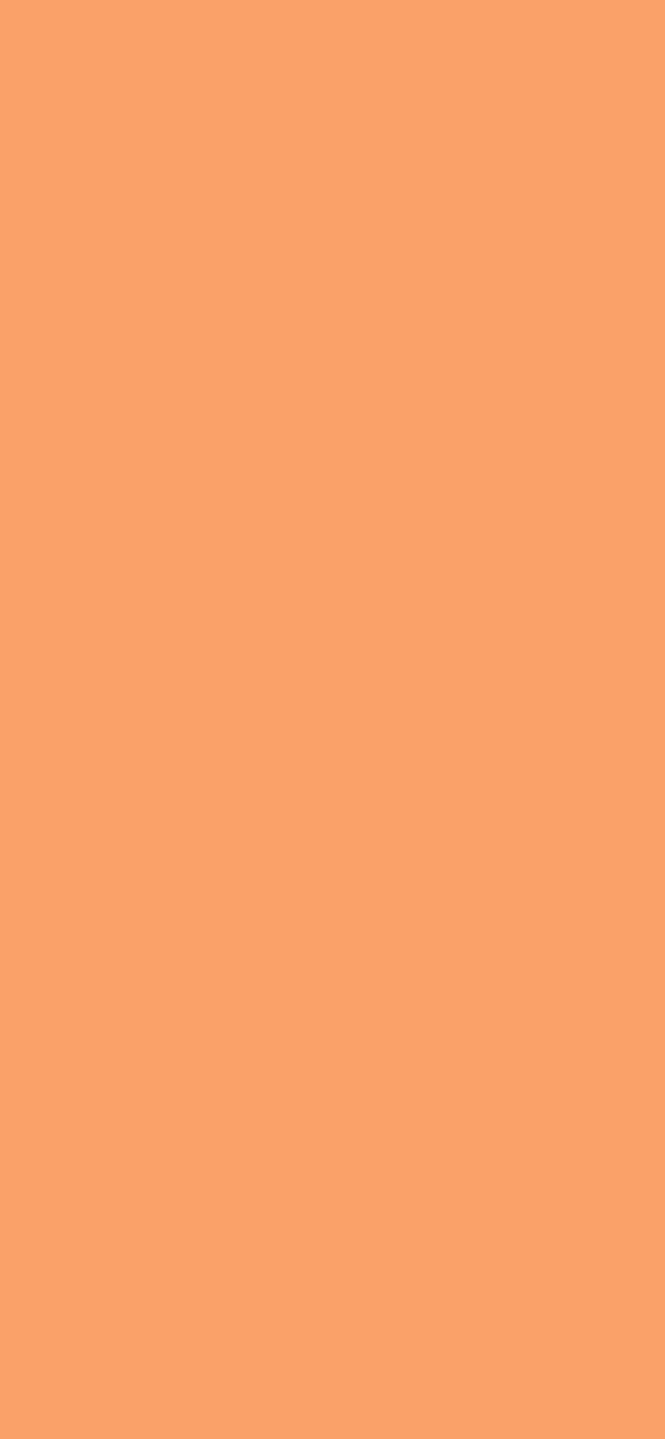 #FAA169 color image