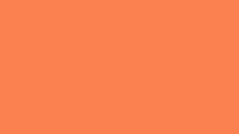 #FB8151 color image
