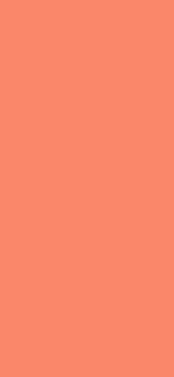 #FB886B color image