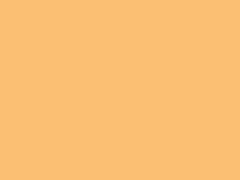 #FBBF73 color image