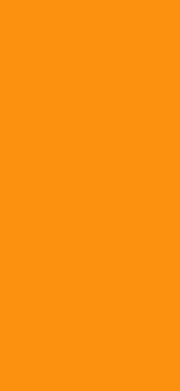 #FC910F color image