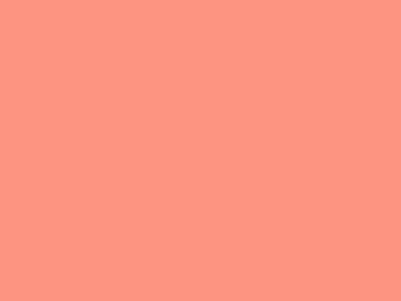 #FC937F color image