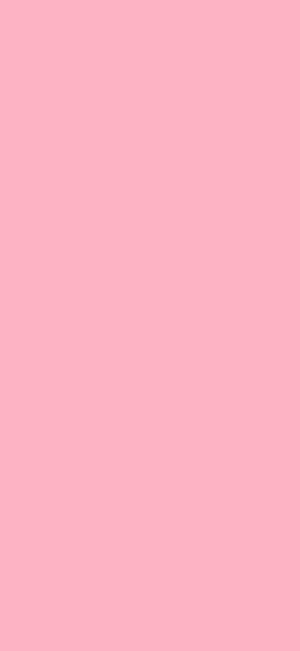 #FDB3C4 color image