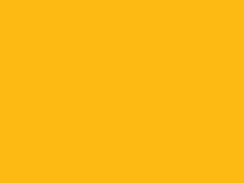 #FDBA12 color image