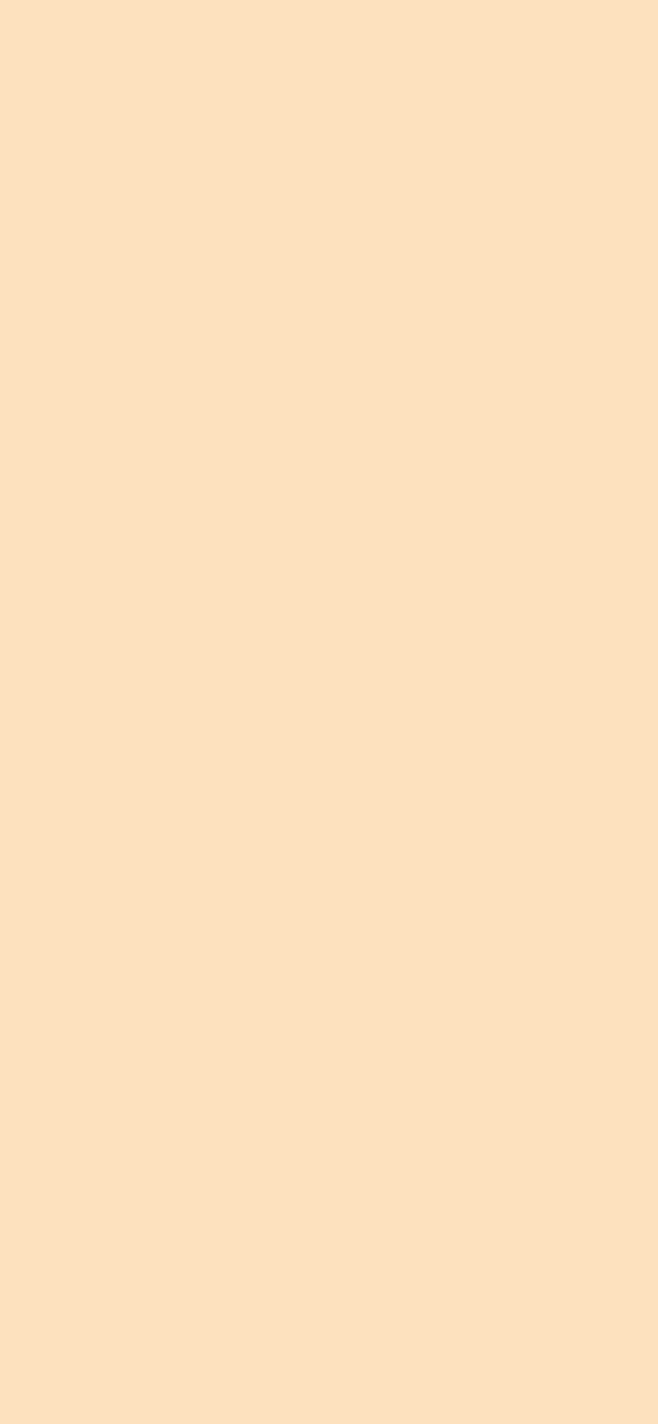 #FDE1BE color image