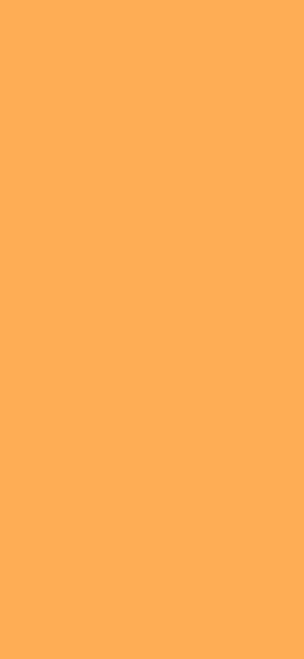 #FEAD55 color image