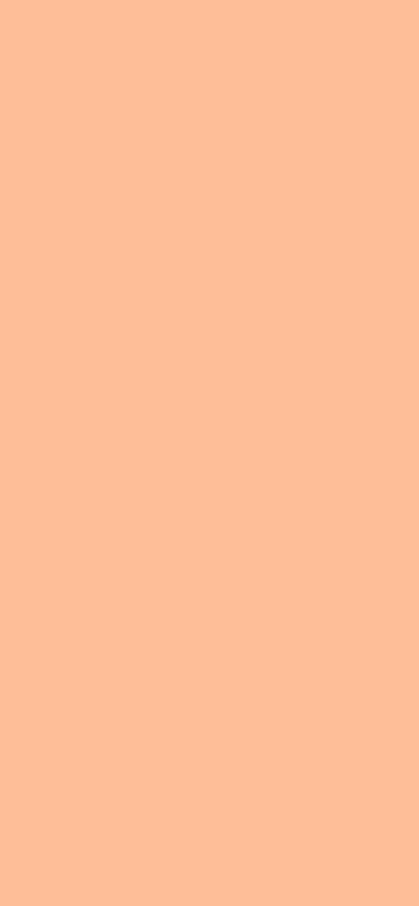 #FEBE98 - Peach Fuzz color image