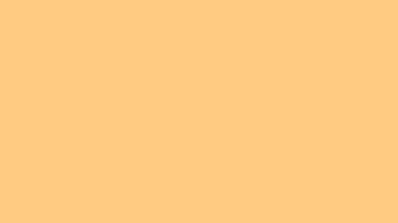 #FECA7F color image