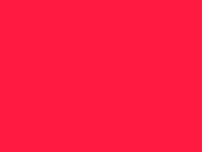 #FF1A40 color image