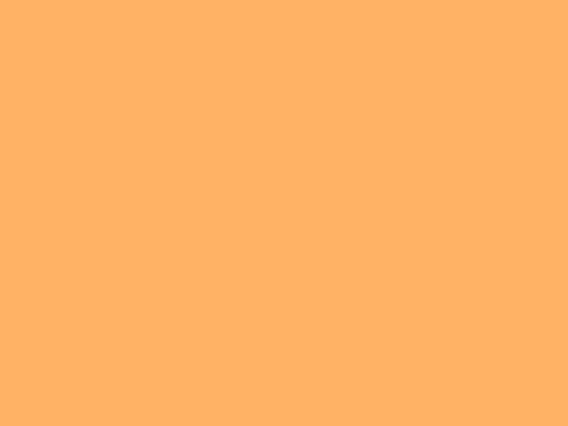 #FFB265 - Light Brilliant Orange color image