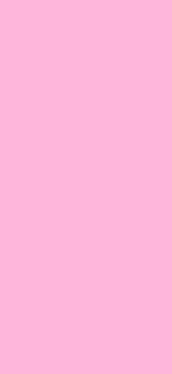 #FFB6DB color image