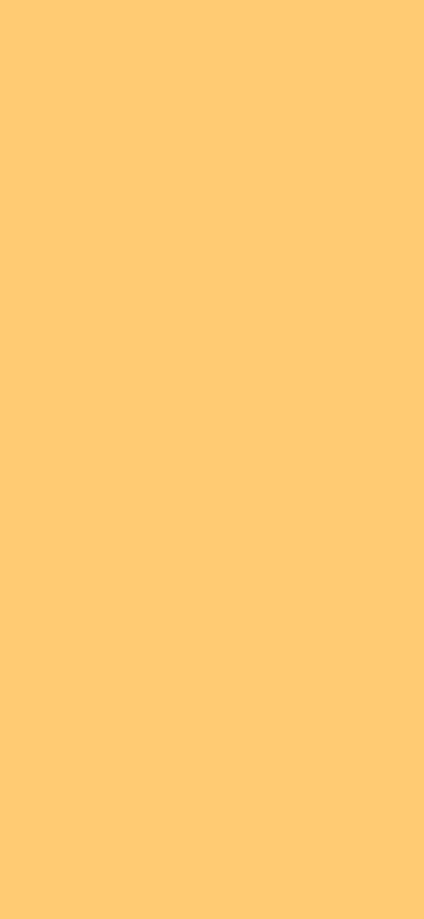 #FFCB73 color image