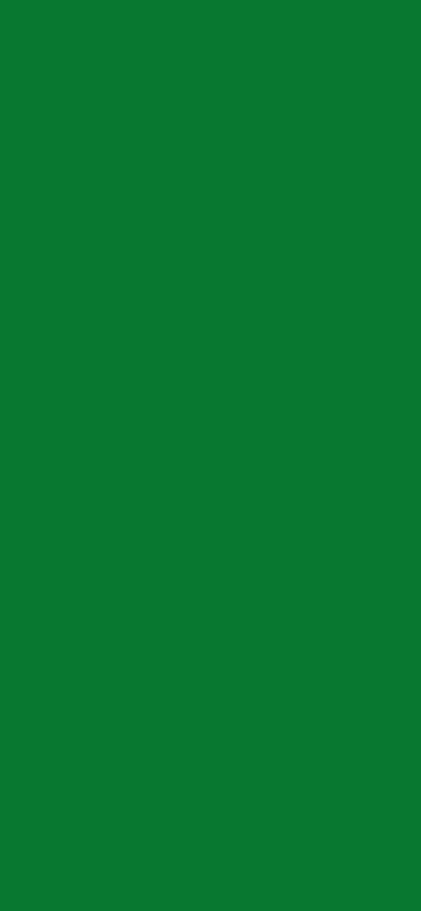 #087830 - La Salle Green color image