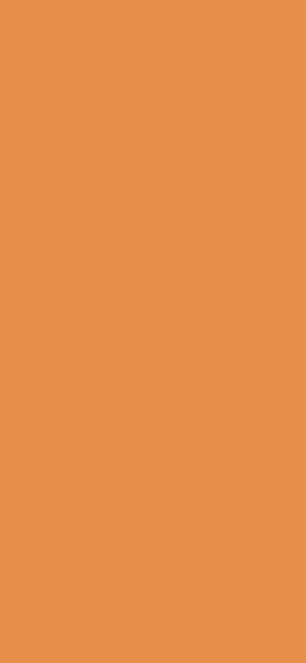 #E78F4A - Lemon Ochre color image