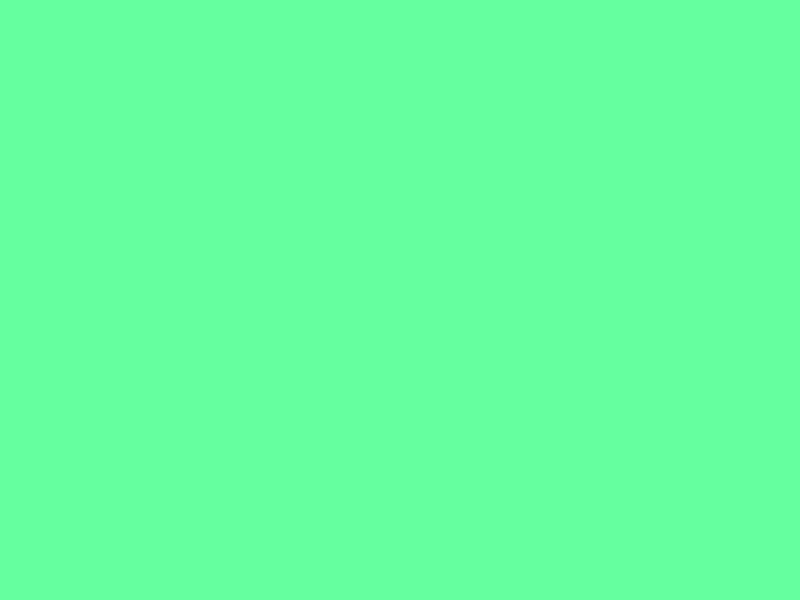 #65FF9F - Light Brilliant Sea Green color image