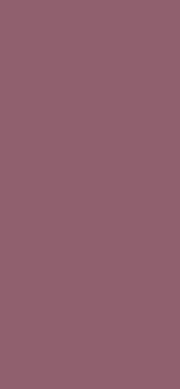 #915F6D - Mauve Taupe color image