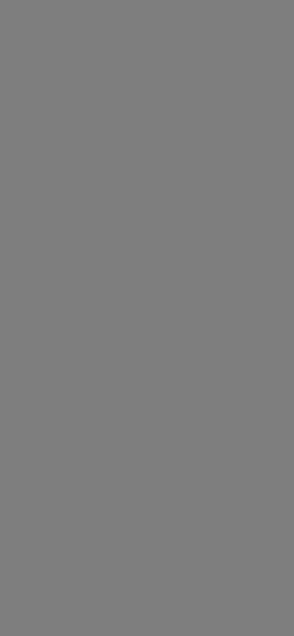 #7D7F7C - Medium Grey color image