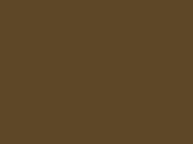 #5C4827 - Nightingale-brown color image