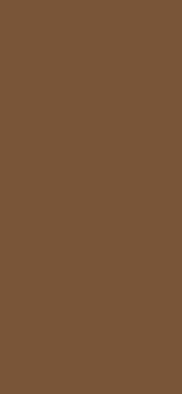 #795538 - Palm Sugar color image