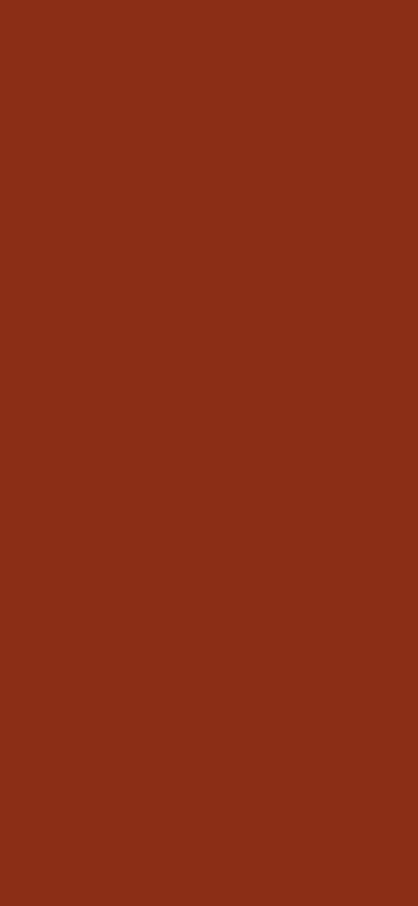 #8B2E16 - Red Brown color image