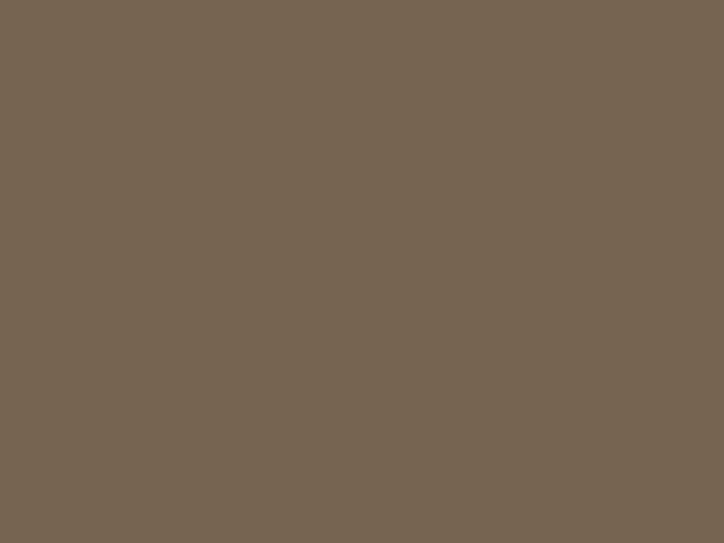 #766451 - Rustic Brown color image