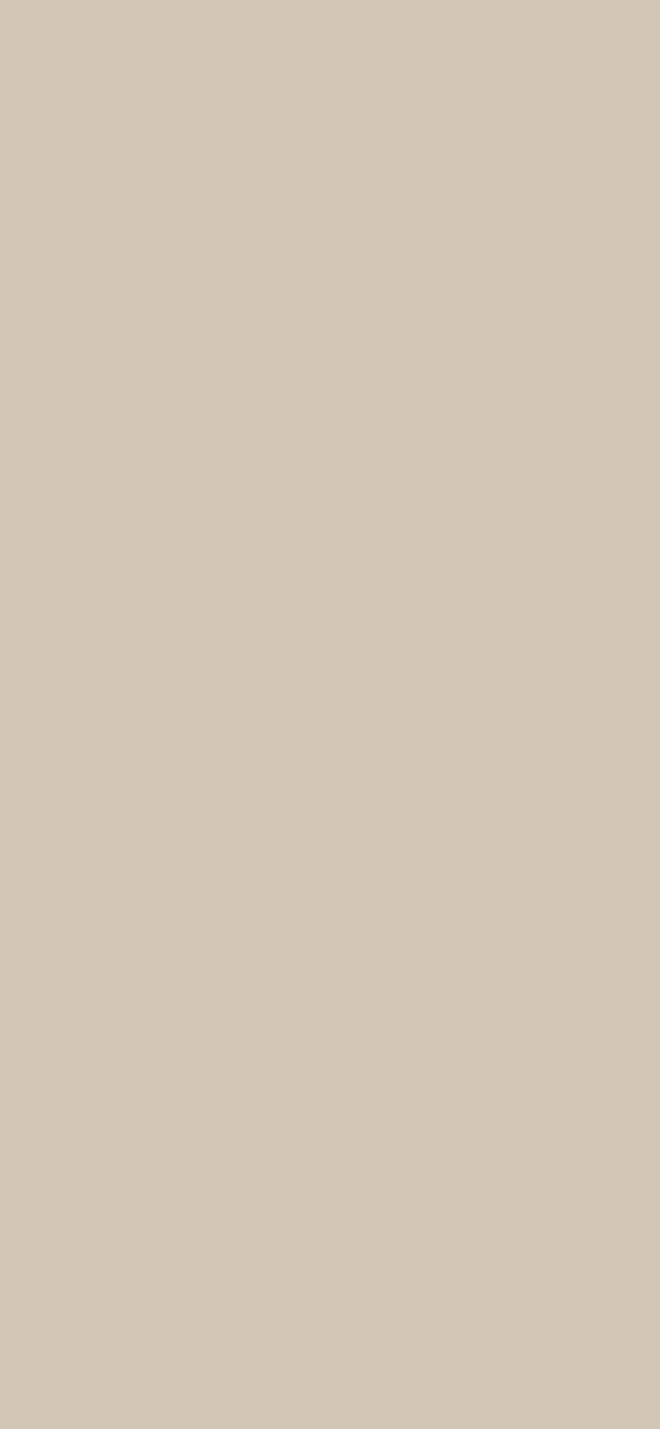 #D2C6B6 - Sandspit Brown color image