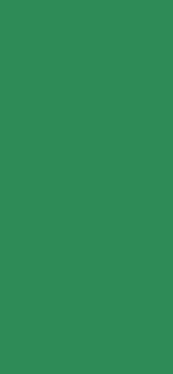 #2E8B57 - Sea Green color image