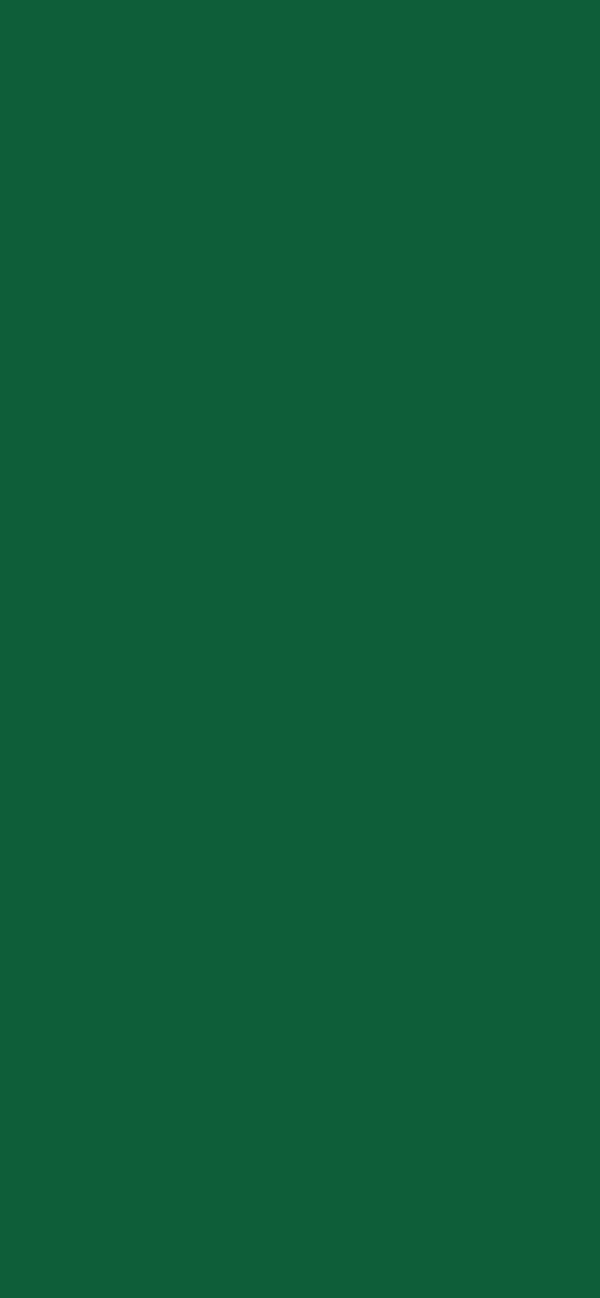 #0A5F38 - Spruce color image