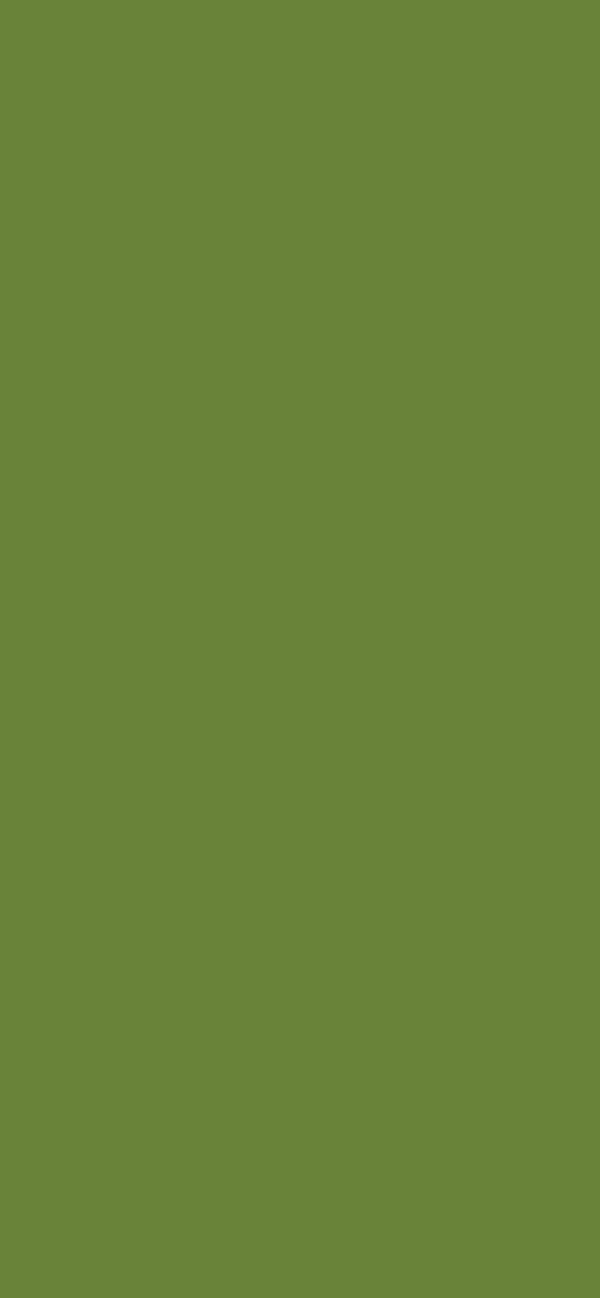 #698339 - Swamp color image