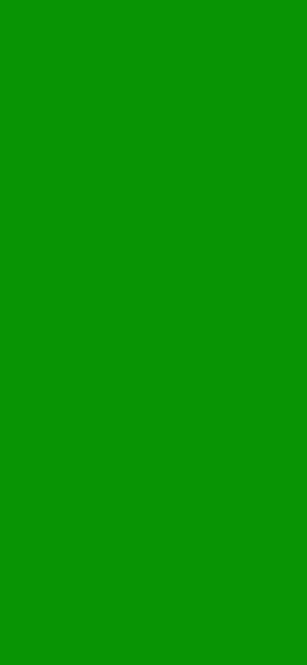 #089404 - True Green color image