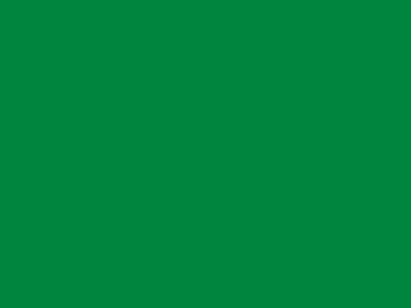 #00853E - UNT Green color image