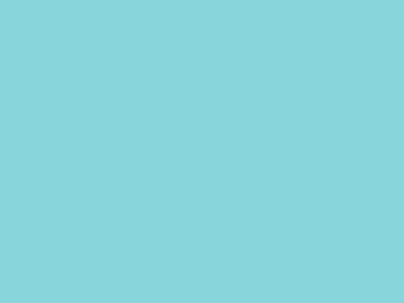 #88D6DC - Vibrant Soft Blue color image