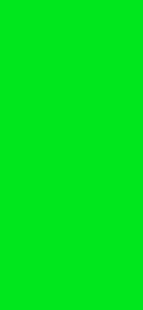 #00E71D - Vivid Emerald Green color image