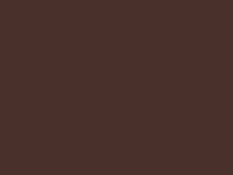 #4A302B - Warmed Brown color image