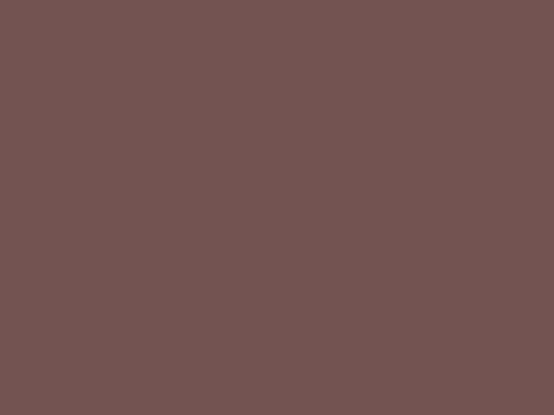 #735351 - YSK Brown color image