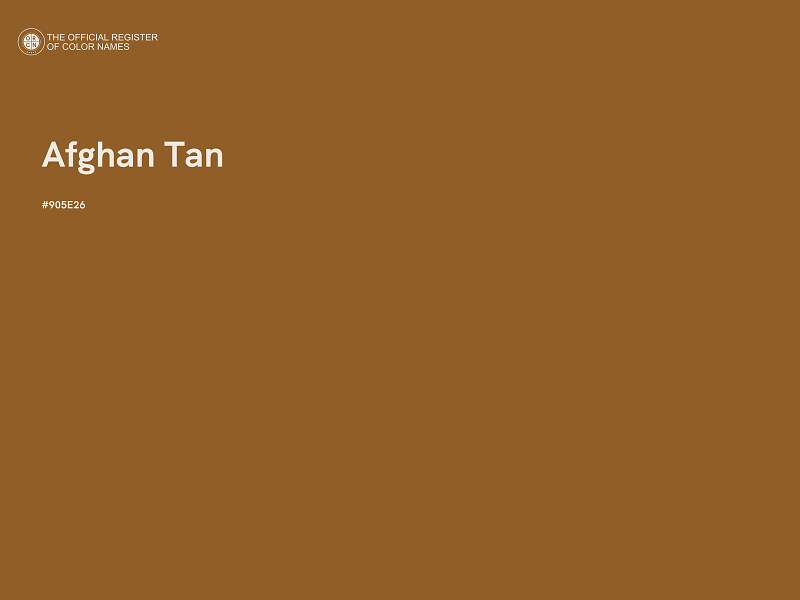 #905E26 - Afghan Tan color image