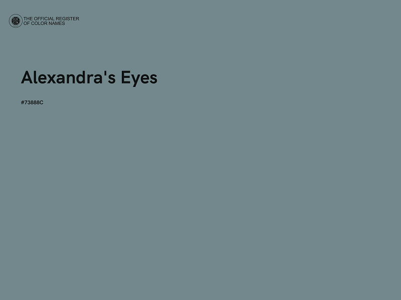 #73888C - Alexandra's Eyes color image