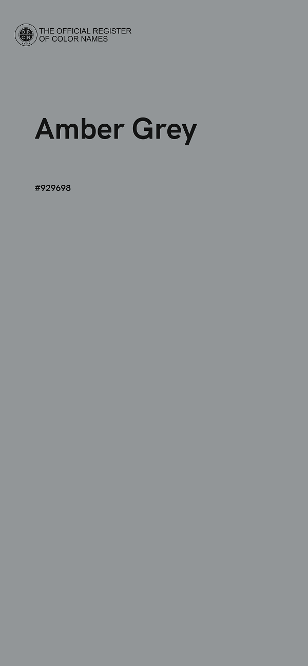 #929698 - Amber Grey color image
