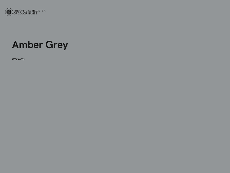 #929698 - Amber Grey color image