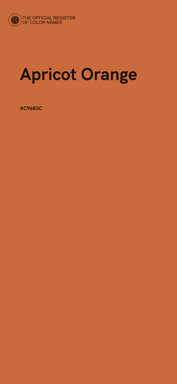 #C96B3C - Apricot Orange color image