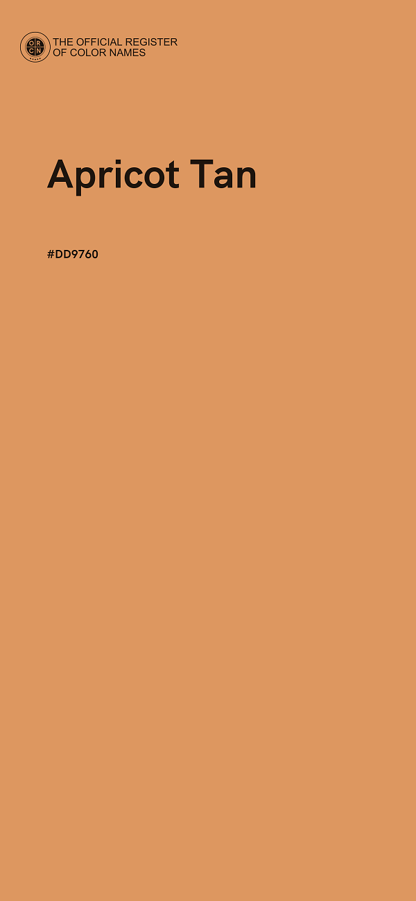 #DD9760 - Apricot Tan color image