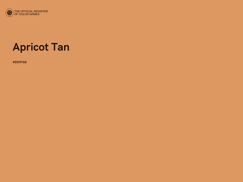 #DD9760 - Apricot Tan color image