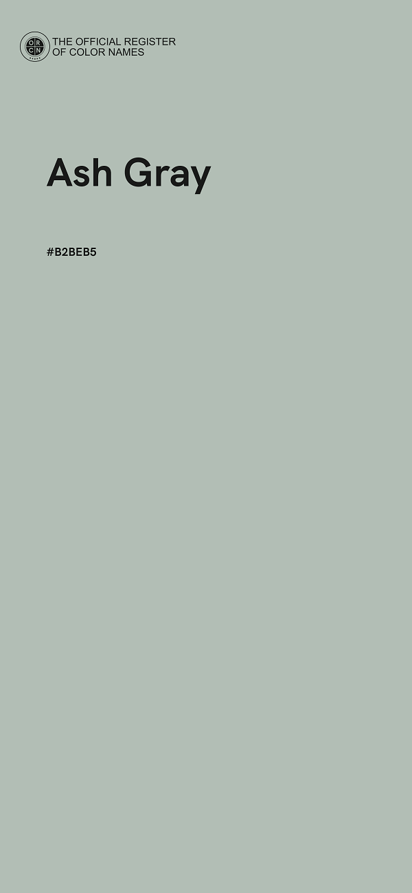 #B2BEB5 - Ash Gray color image