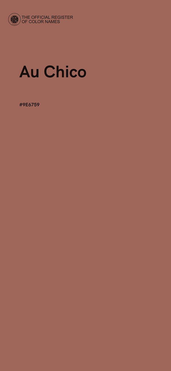#9E6759 - Au Chico color image