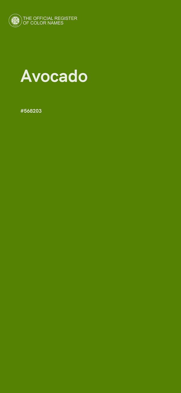 #568203 - Avocado color image